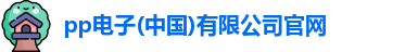 pp电子最新地址